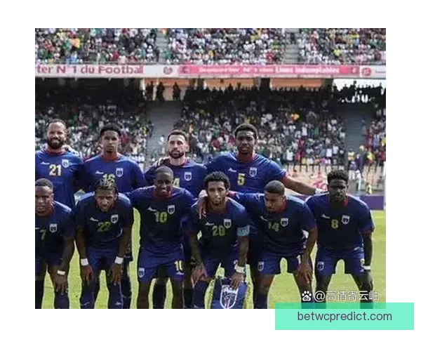 2026年世界杯比赛结果实时查询及各队表现分析